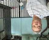 Nhà Phan Kế Bính , Hải Châu ô tô vào sân chỉ 7 đ