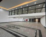 Bán Nhà MP Trịnh Đình Cửu-Lô Góc-Gần Vành Đai 2.5 - 180/200m2, 1 Hầm+ 7 Nổi, MT 8.5m-85 Tỷ