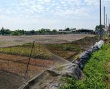 [K2658*] Cơ hội hiếm! 3710m2 đất diện tích lớn sát KCN Vĩnh Lộc A, giá chỉ 29.x tỷ
