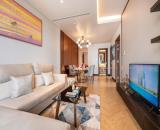 The Soleil Đà Nẵng - Chủ đầu tư PPC An Thịnh - HTLS 24 tháng - Sở hữu vị trí kim cương