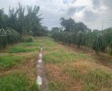 Đại Hạ Giá-Đất Vườn-Hàm Thạnh(Hàm thuận Nam)-Lâm Đồng-DT 1,4Ha ,có 300m2TC