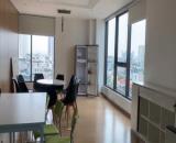 Cho thuê văn phòng 250m2 view hồ tại ngọc khánh plaza - giảng võ giá chỉ 300k/m2