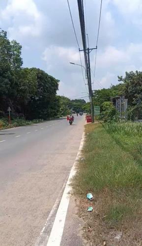GẤP BÁN 22M MẶT TIỀN TL15 – 500M² THỔ – ĐƯỜNG CONTAINER – GIÁ 12,2 TỶ - 1