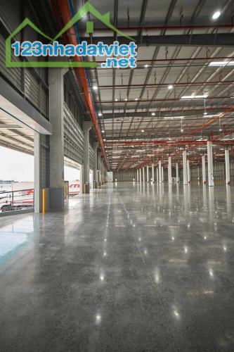 XT180 cho thuê xưởng, kho vận hành logistic. tại KCN Phú Mỹ II, thiết kế hiện đại - 2