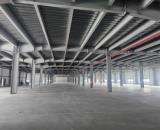 CHO THUÊ NHÀ XƯỞNG MỚI 16.400M² TẠI KHU CÔNG NGHIỆP THUẬN THÀNH I – BẮC NINH
