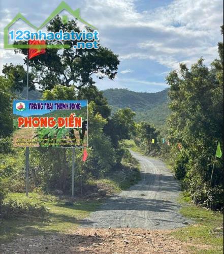 CHÍNH CHỦ BÁN VƯỜN CLN 17,7 Ha tại xã Phú Lạc, Bình Thuận (cũ)