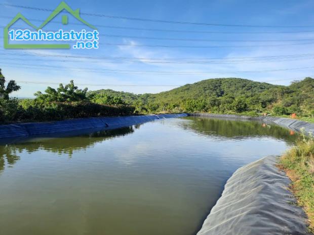 CHÍNH CHỦ BÁN VƯỜN CLN 17,7 Ha tại xã Phú Lạc, Bình Thuận (cũ) - 3
