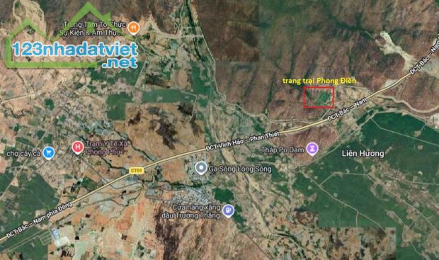 CHÍNH CHỦ BÁN VƯỜN CLN 17,7 Ha tại xã Phú Lạc, Bình Thuận (cũ) - 4