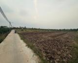 BÁN 1.000m² ĐẤT VƯỜN GIÁ MỀM – GẦN CHỢ CẦU VUÔNG - CHÂU THÀNH, LONG AN