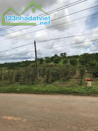 Bán đất 2 MT QL 28B Đức Trọng, Lâm Đồng, 10 x 50m, (200)m2 TC, giá 3,8 tỷ - 1