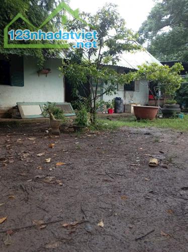 Bán nhà vườn xã Phú Hòa Đông tdt 1500m2 chưa thổ giá 3,8 tỷ - 3