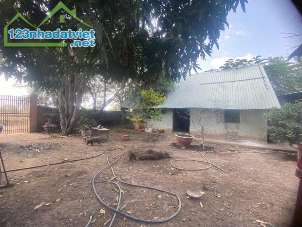 Bán nhà vườn xã Phú Hòa Đông tdt 1500m2 chưa thổ giá 3,8 tỷ - 4