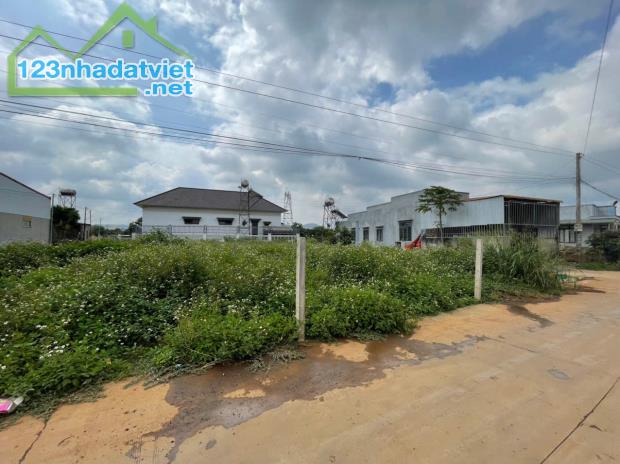 Bán164m2 đất gần hồ Nam Sơn Liên Nghĩa Đức Trọng Lâm Đồng Giá 2 tỷ 350 triệu. - 1
