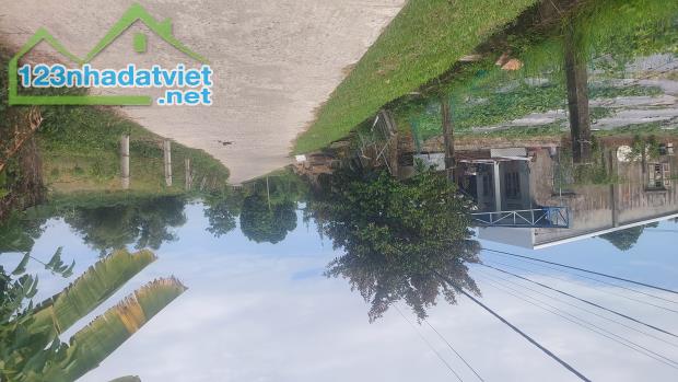 Vài lô Tam Xuân, Núi Thành vừa ra sổ - 1