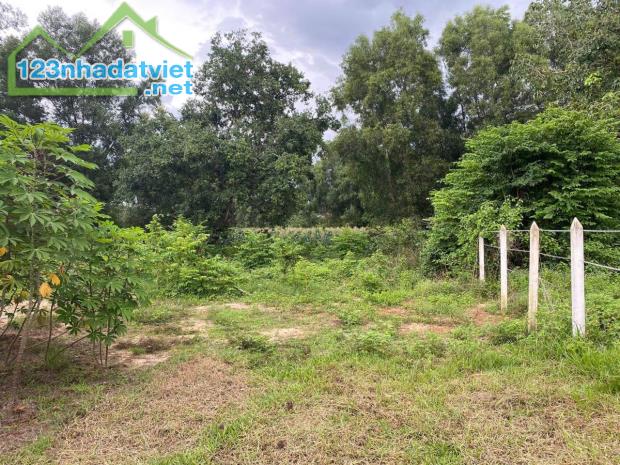 Đất vườn 600 mét có thổ cư 50 mét cần bán giá 1 tỷ - 2
