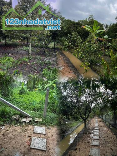 BÁN ĐẤT THỔ CƯ ĐẸP TẠI LÁI THIÊU – THUẬN AN, BÌNH DƯƠNG - 3