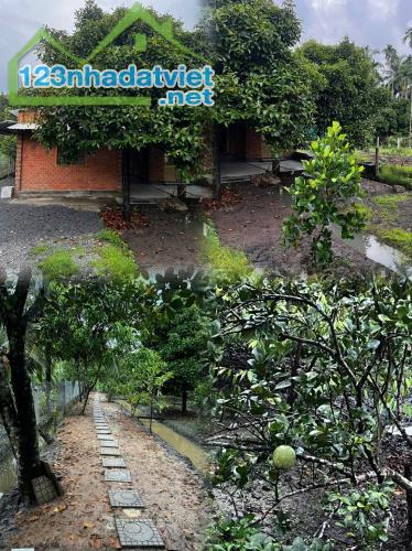BÁN ĐẤT THỔ CƯ ĐẸP TẠI LÁI THIÊU – THUẬN AN, BÌNH DƯƠNG - 4