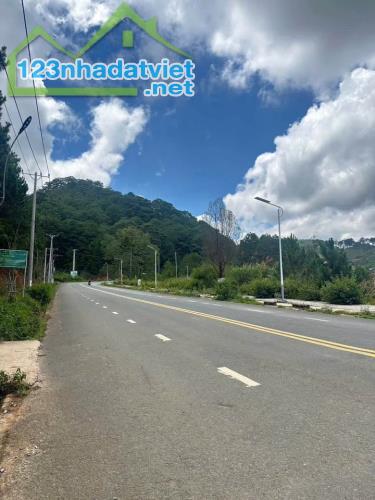 BÁN LÔ ĐẤT MẶT TIỀN HOÀNG VĂN THỤ, ĐÀ LẠT 269m2 chỉ còn 11,9 tỷ