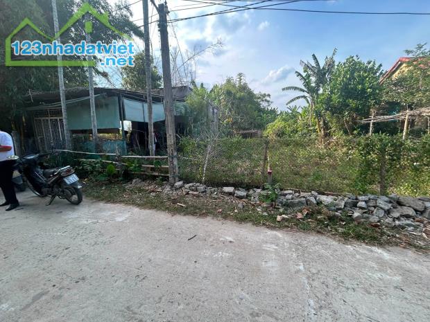 CẶP LÔ LIỀN KỀ 300M² FULL ĐẤT Ở SAU CHỢ LẠC THÀNH GIÁ CHỈ 690 TRIỆU/LÔ - 3