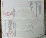 ĐẤT ĐẸP - GIÁ TỐT - CHÍNH CHỦ Cần Bán Nhanh Lô Đất Ấp 5, Xã Đức Hòa Đông, Đức Hòa - Long