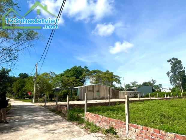 ĐẤT THÁI CẨM HƠN 200M² – GIÁ CHỈ HƠN 1 TỶ - 2