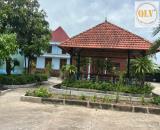 CHO THUÊ / BÁN NHÀ XƯỞNG – BẮC TÂN UYÊN, BÌNH DƯƠNG – 16.797m²