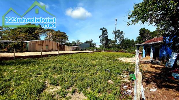 Đầu tư đất gần KCN VSIP Điện Tiến – Tiềm năng tăng giá cao - 2