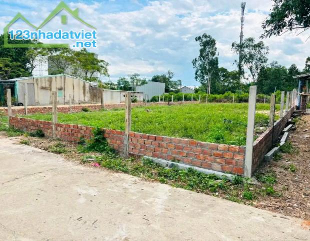 Đất gần KCN VSIP Điện Tiến – Tiềm năng đầu tư cao. - 2