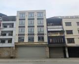 Tôi cho thuê nhà, 101m2_ 5T; Linh Lang, Đào Tấn, Phan Kế Bính -47 tr