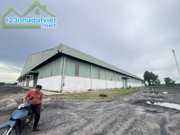 Cho Thuê Kho Xưởng - Cần Thơ (Hậu Giang cũ) 130.000m2 - 4
