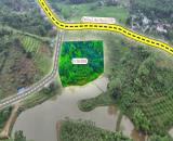 🚨 TUYỆT TÁC ĐỘC BẢN: 7000M² ĐỒI ĐỘC LẬP BÁM HỒ TẠI KIM BÔI!