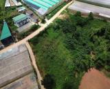 BÁN 1.500M² ĐẤT MĂNG LIN – PHƯỜNG 7, ĐÀ LẠT