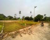 CHÍNH CHỦ CẦN BÁN ĐẤT THƯỢNG TRANG – BÁT TRANG, AN LÃO, HẢI PHÒNG