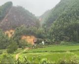 CẦN BÁN NHANH LÔ ĐẤT CHÍNH CHỦ TẠI TÂN DƯƠNG, ĐỊNH HÓA, THÁI NGUYÊN