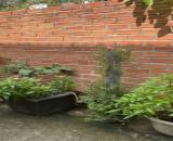Cho thế chấp nhà nghỉ dưỡng ven sông – Vĩnh Phú, Thuận An, Bình Dương