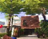 CHO THUÊ NHÀ ĐẸP PHONG CÁCH TROPICAL – KHÔNG GIAN SỐNG XANH, THOÁNG MÁT TẠI PHƯỜNG THUẬN