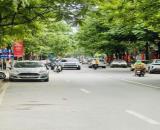 Siêu Phẩm MP Trung Tâm Hai Bà Trưng 48M2 5 Tầng Vỉa Hè Rộng View Hồ Điều Hoà Giá 20.5 Tỷ