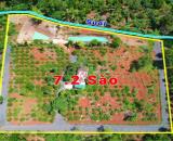 7,2 sào rẫy gần Nguyễn Thị Định p. Khánh Xuân sẵn vườn ao và nhà giá 5 tỷ Quỳnh Anh