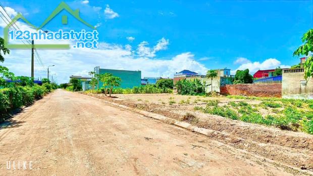 Bán đất Tân Viên - An Lão - Hải Phòng - 3