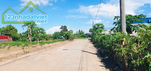Bán đất Tân Viên - An Lão - Hải Phòng - 4