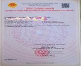Bán đất Tân Viên - An Lão - Hải Phòng