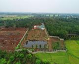 6,5 Sào View Ruộng Mênh Mông Ngay Chợ Đoàn Kết Hoà Khánh 3,9 Tỷ Quỳnh Anh