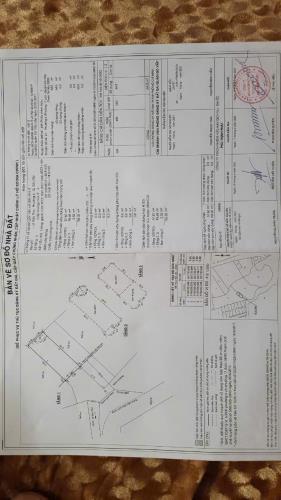 Bán nhà HXH 5m Đường số 28, P.6, Gò Vấp; 5 x 13, giá 6,4 tỷ - 5