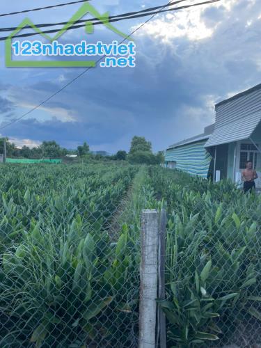 BÁN LÔ ĐẤT ĐẸP VEN TRUNG TÂM NINH HOÀ