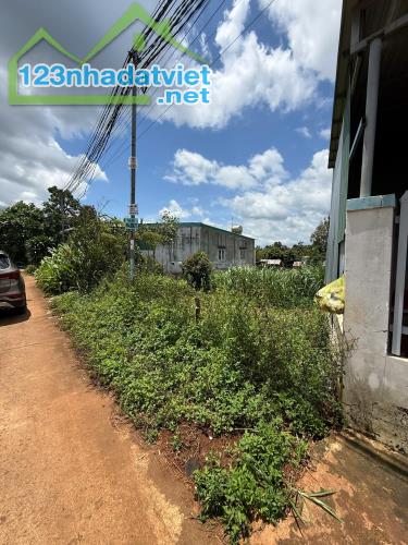 🏡 ĐẤT CAO THÀNH CŨ – PHƯỜNG EA KAO | 6x32M – TC 80M² | 1,2 TỶ
