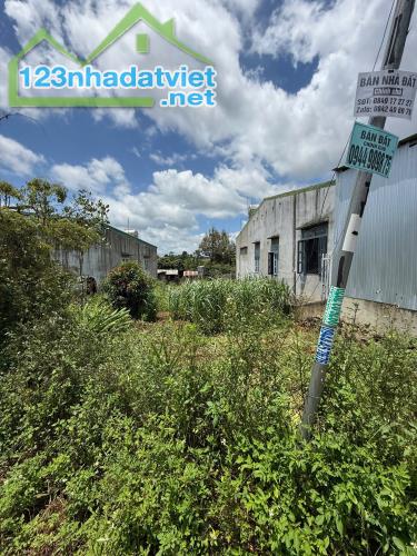 🏡 ĐẤT CAO THÀNH CŨ – PHƯỜNG EA KAO | 6x32M – TC 80M² | 1,2 TỶ - 2