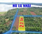 2,1 sào mặt tiền đường nhựa Vành Đai km18 nối tuyết QL14-QL26 1,3 tỷ/sào Quỳnh Anh