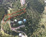 460 TRIỆU = 1 SÀO (1,004m2) 📍 Thôn 2 Lộc Thành - Bảo Lâm 3, Bảo Lộc