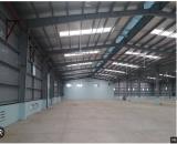 🔥 CHO THUÊ KHO XƯỞNG 1.000M² – TRUNG MỸ TÂY, QUẬN 12
