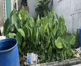 Bán lô đất nền thành phố Hải Dương, giá 1ty có bớt lộc Vị trí ngõ 528 trần hưng đạo TPHD